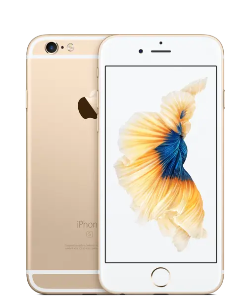 iPhone 6 Series